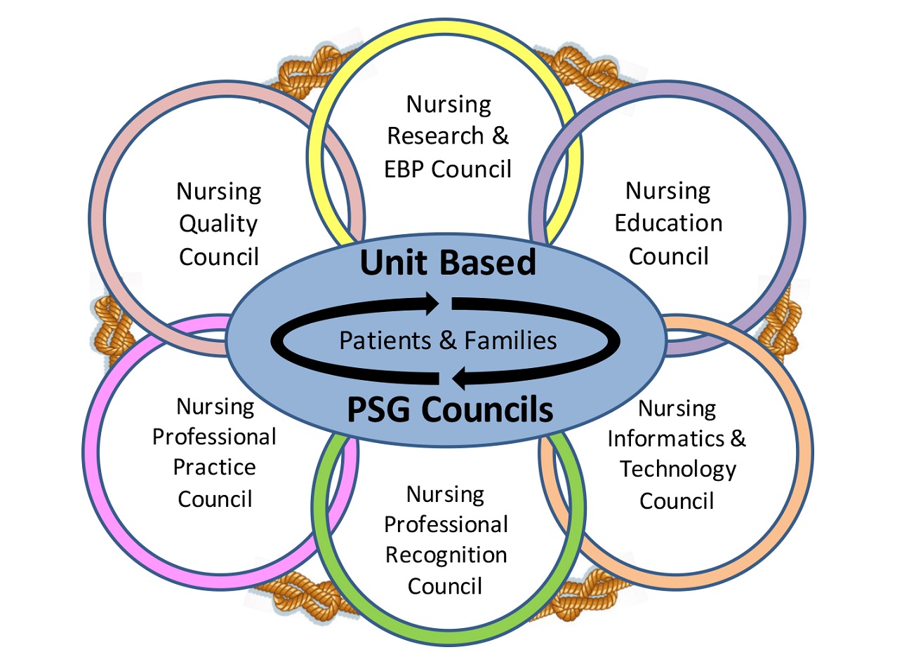 Nursing Governance Councils