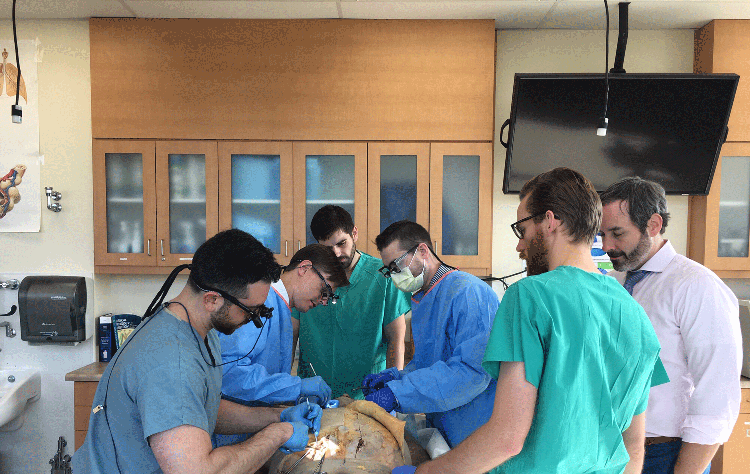 Plastic Surgery Residents Practicing