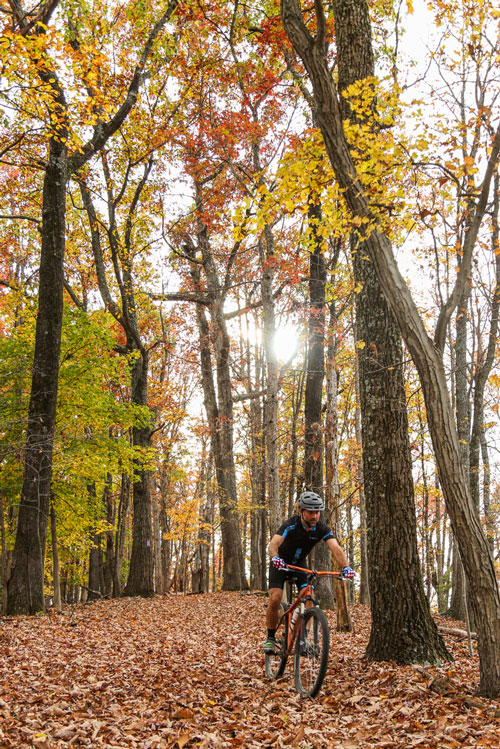 biking