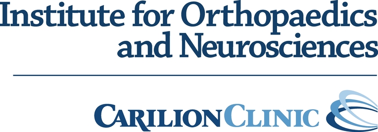 ION Logo