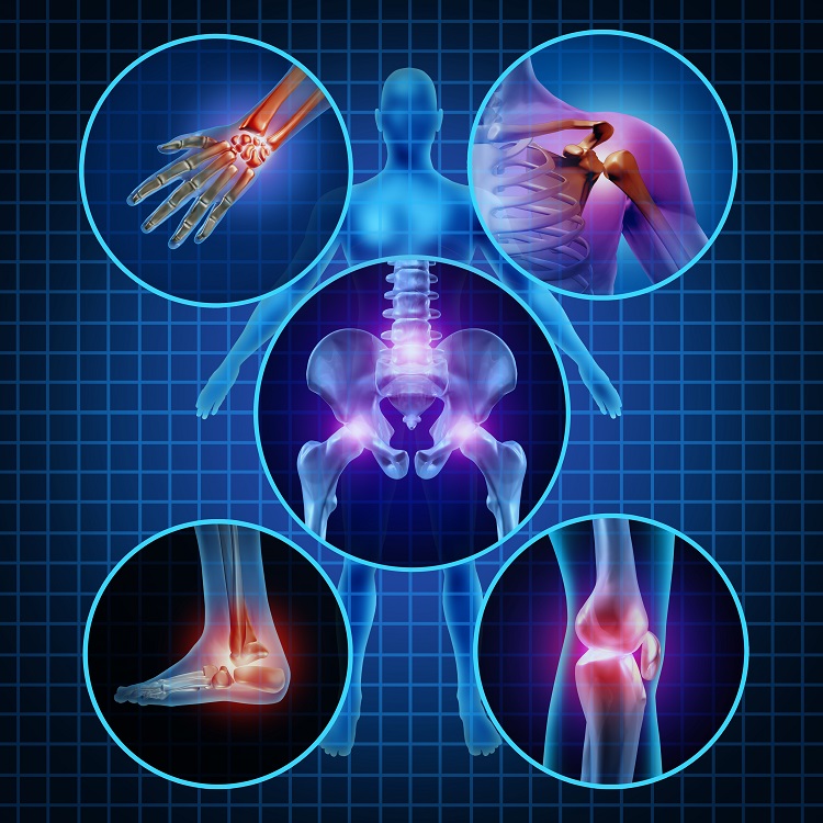 Orthopaedics
