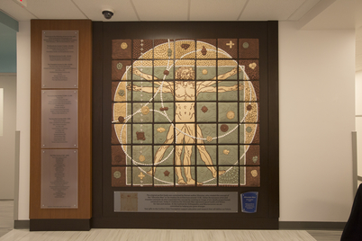 Department of Orthopaedic Surgery