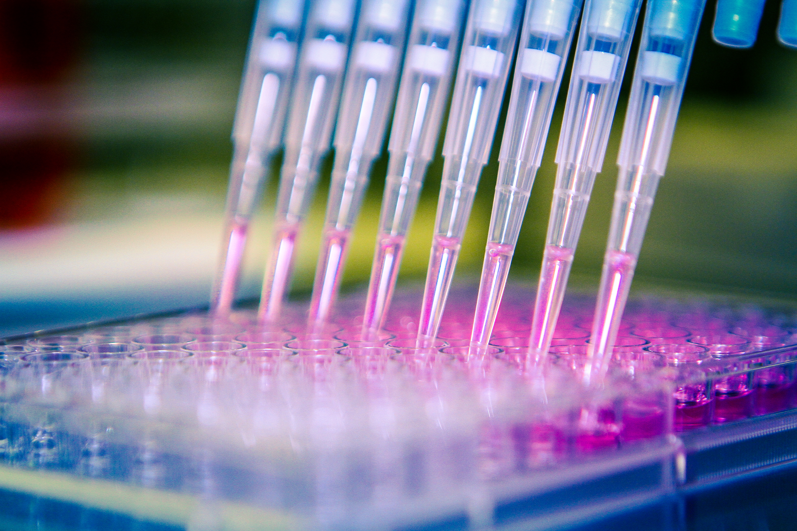 Pipette with cell culture plate