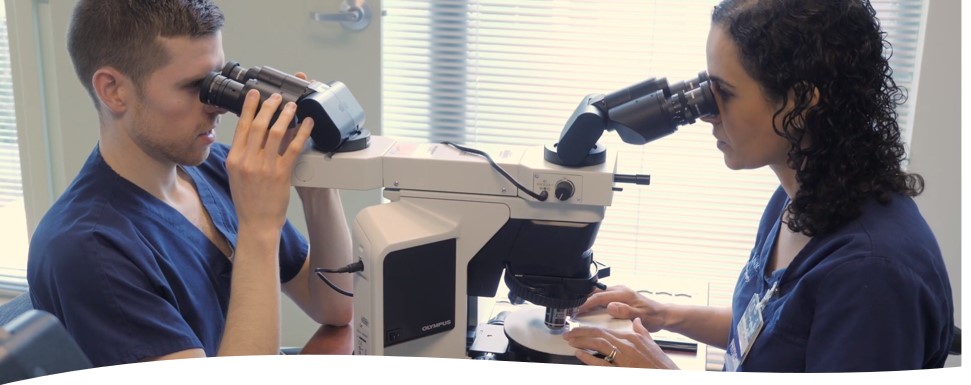 Dermatology Residency Program