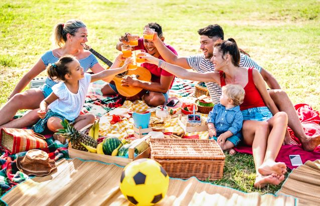 photo of family picnic scene