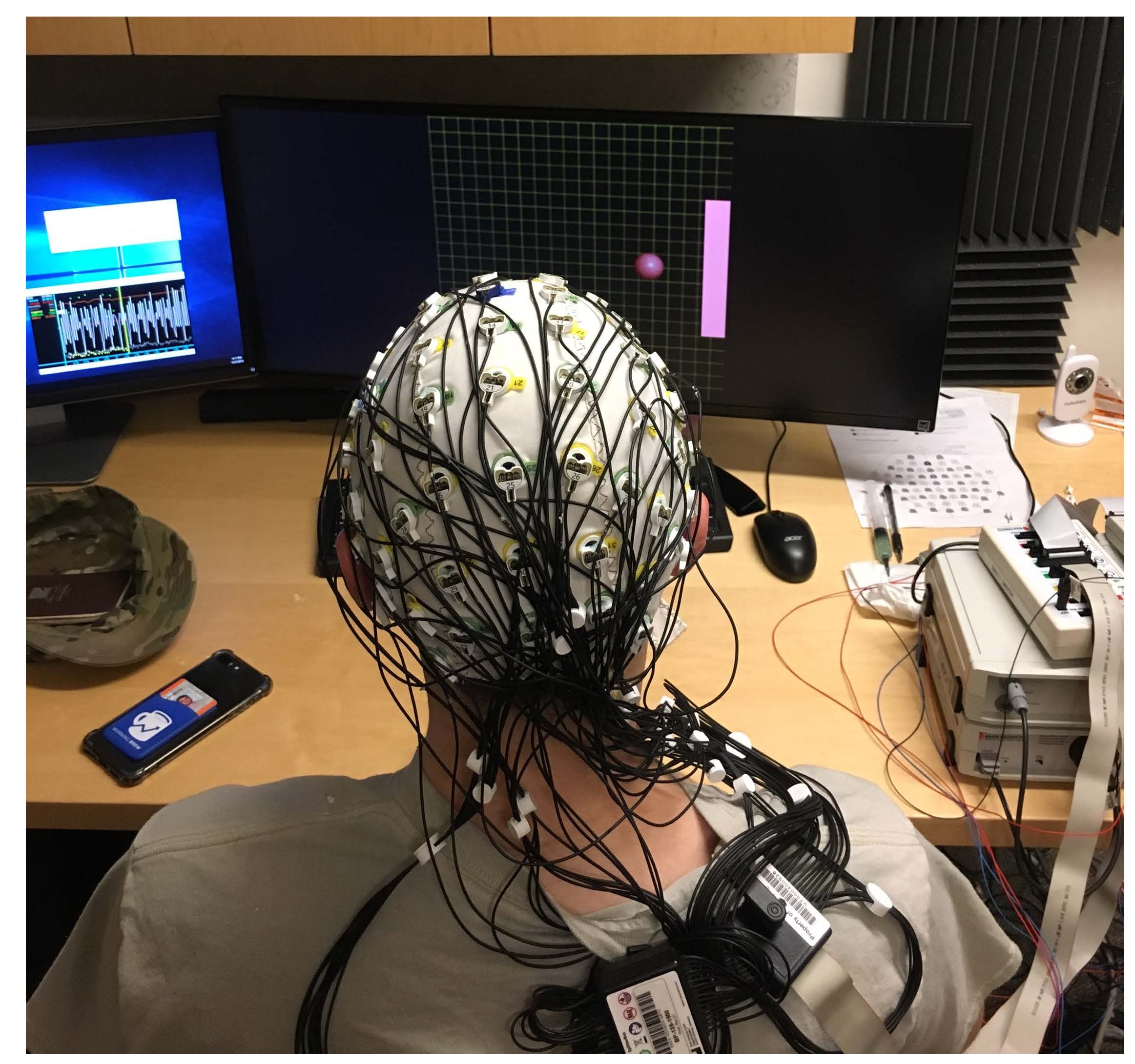 bmi eeg image