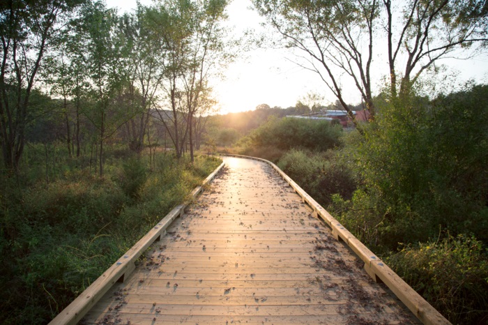 Landscape scene of bridge leading to sunlight. 
