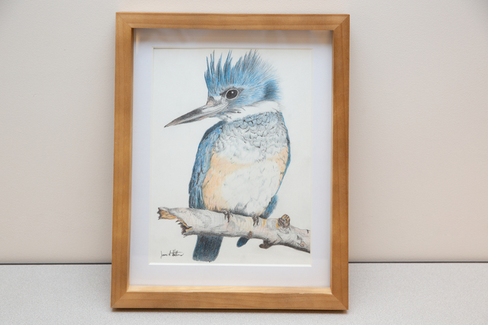 "Kingfisher" by Jason Hutchens