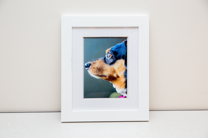 "Curious Cookie" by Timothy Morgan