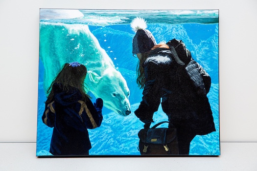 "Close Encounter with a Polar Bear" by Rachel Heletz