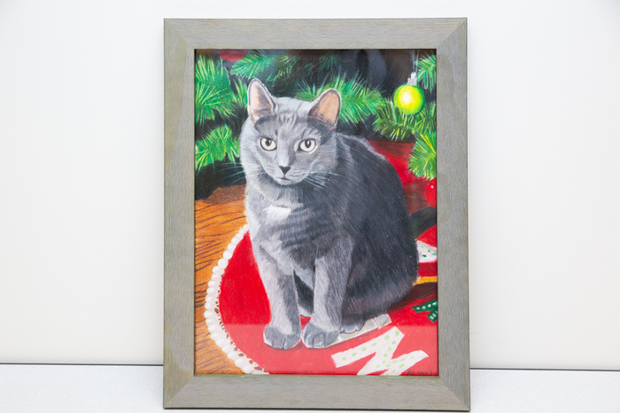 "Louie the Christmas Cat" by Abigail Heletz