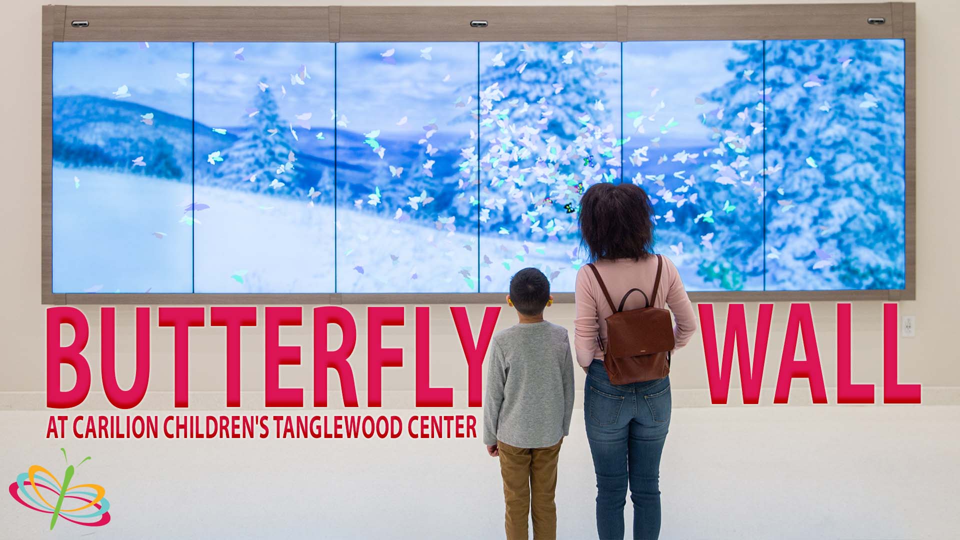 butterfly wall at Tanglewood