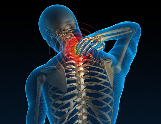 neck highlighted for pain in photo of back and neck